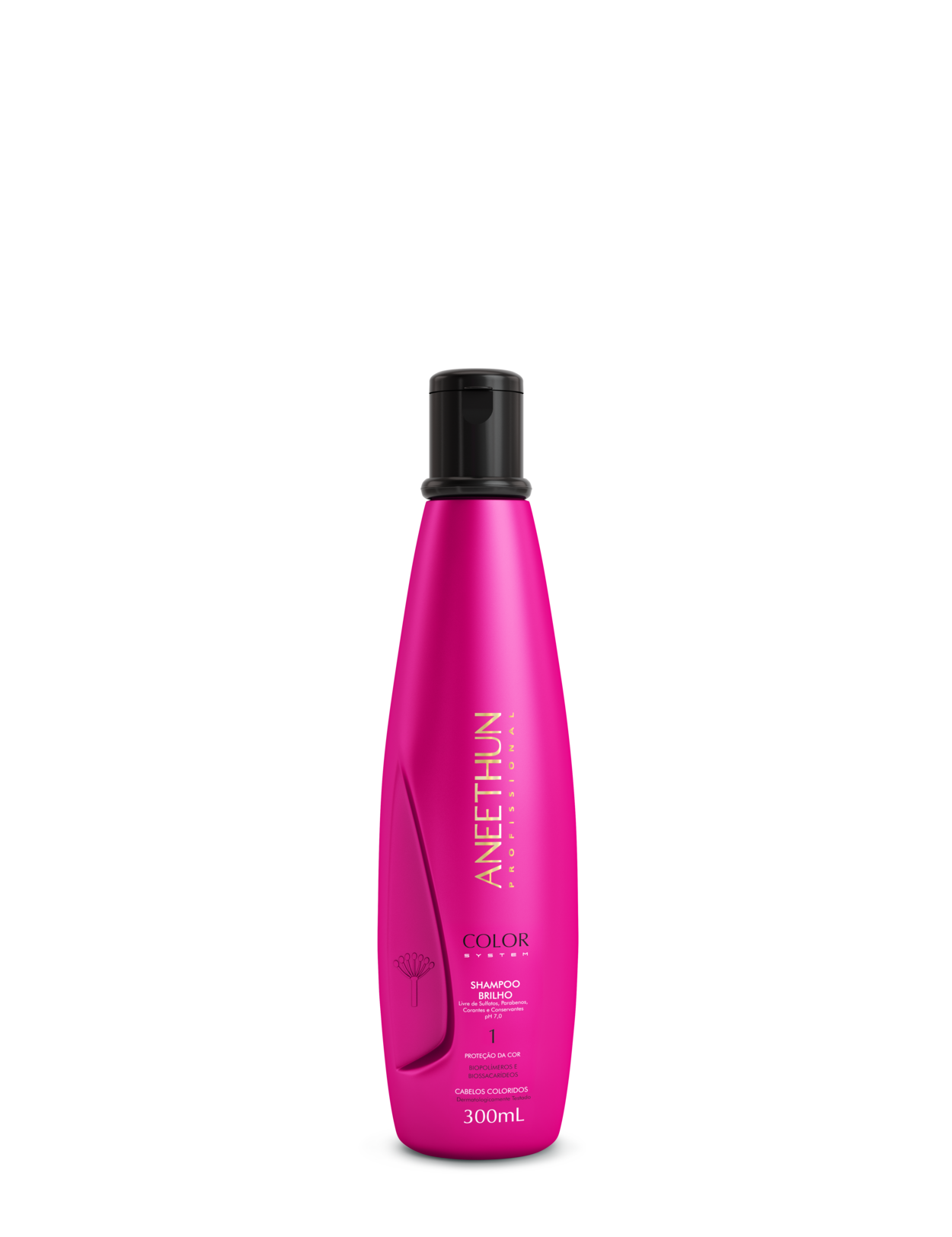 Shampoo Brilho Color System 300ml